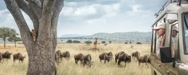 Tanzanie